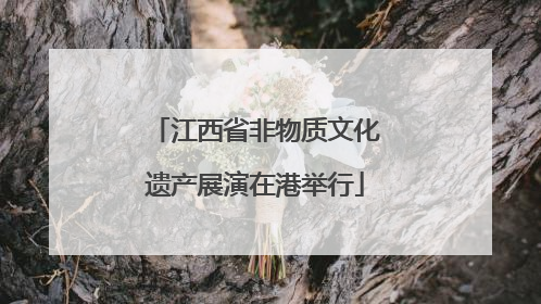 江西省非物质文化遗产展演在港举行